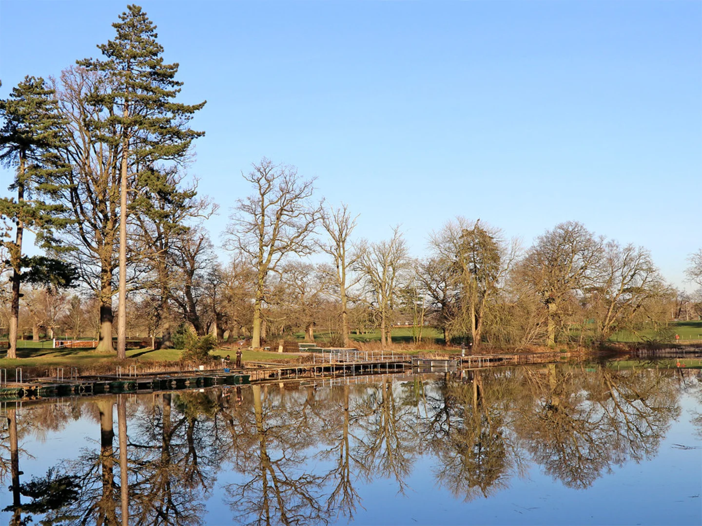 An image depicting the trail Patshull Park and The Great Pool Loop and its surrounding area.