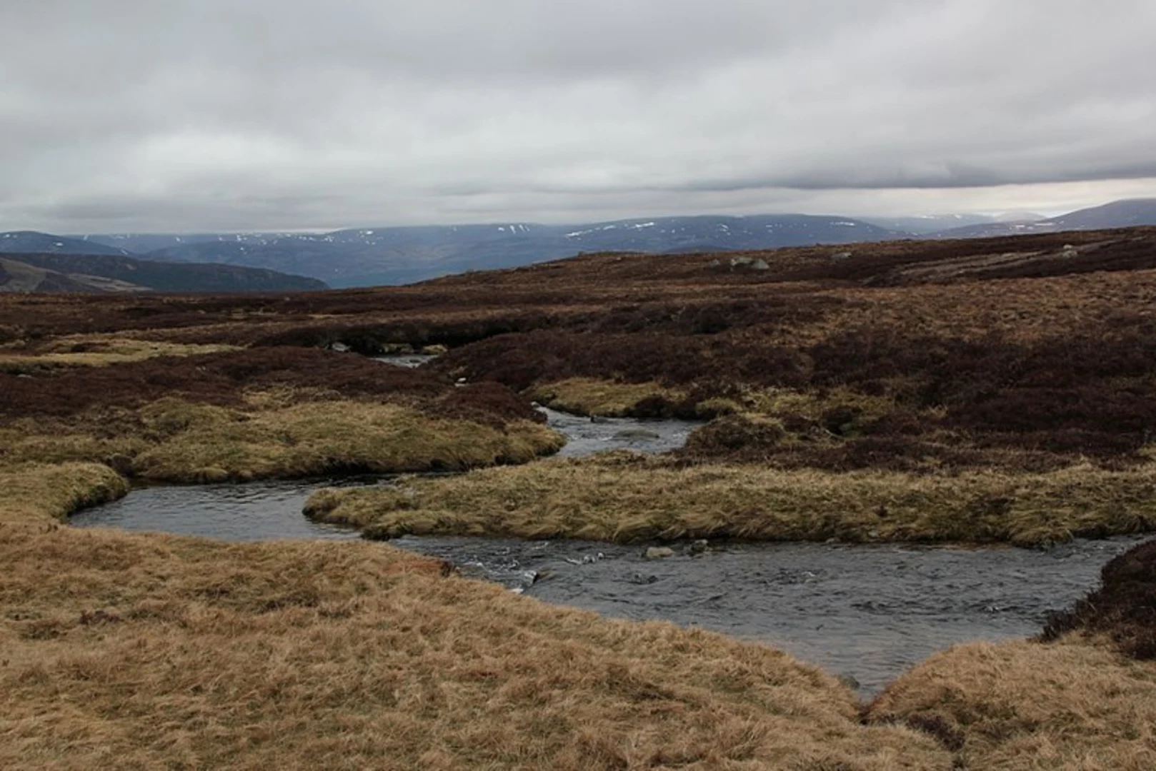 An image depicting the trail Carn a Choire Bhoidheach Walk and its surrounding area.