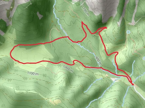Marmot Hike