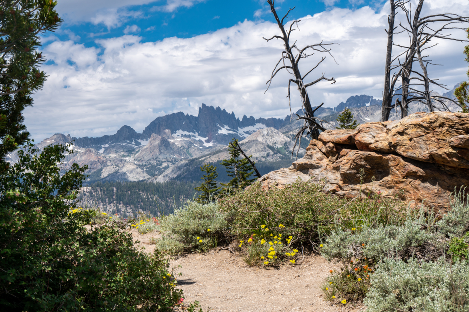 An image depicting the trail Agnew Meadow - Pumice Flat Trail and its surrounding area.