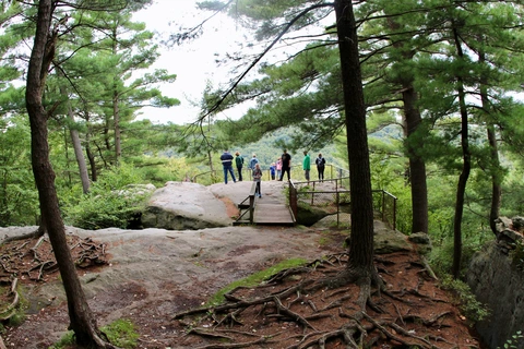 Lookout Tower Trail