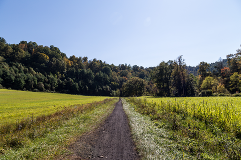 Virginia Creeper Trail and Appalachian Trail