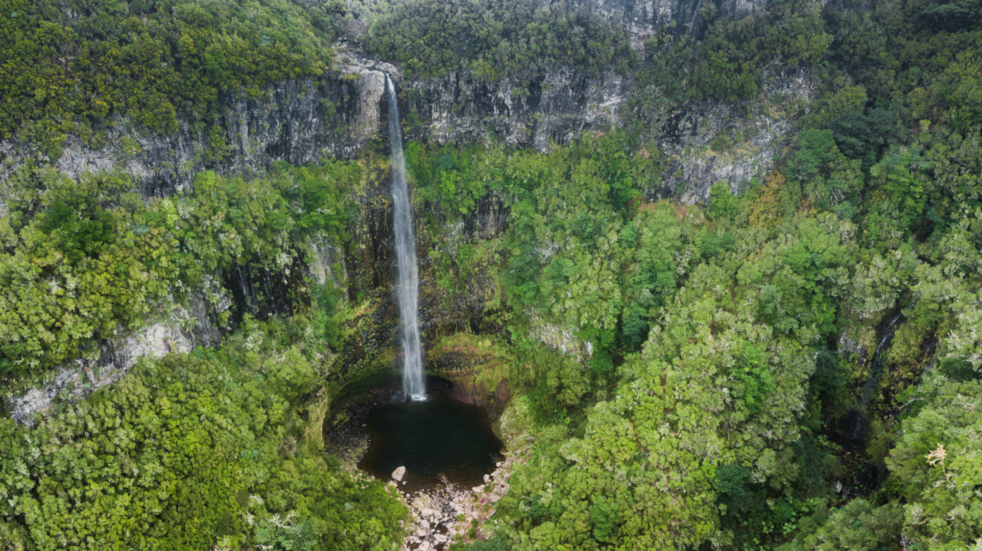 An image depicting the trail PR 6-1 Levada do Risco and its surrounding area.