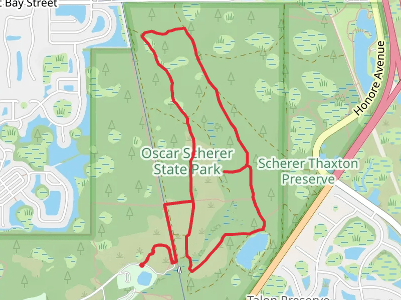 Oscar Scherer State Park Loop