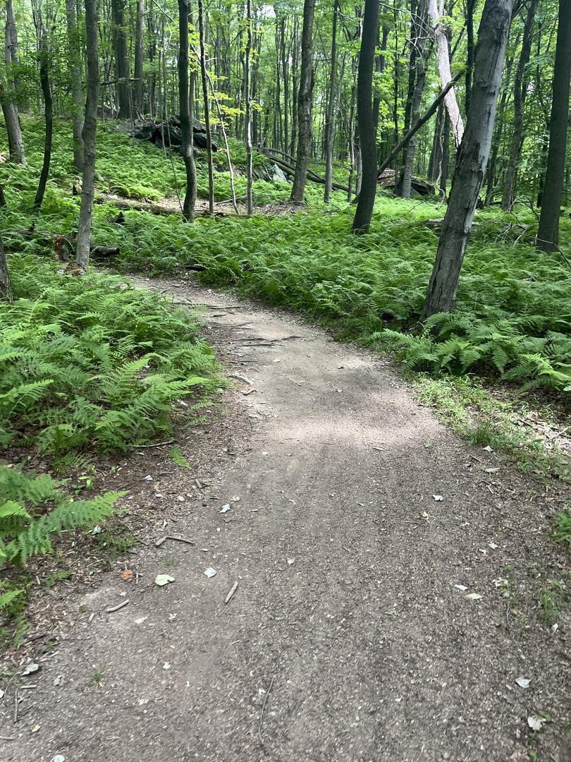 An image depicting the trail High Knob via Green Ash Trail and Yellow Poplar Trail and its surrounding area.