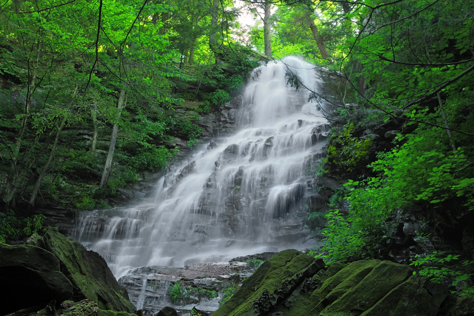 An image depicting the trail Angel Falls via Loyalsock Trail and its surrounding area.