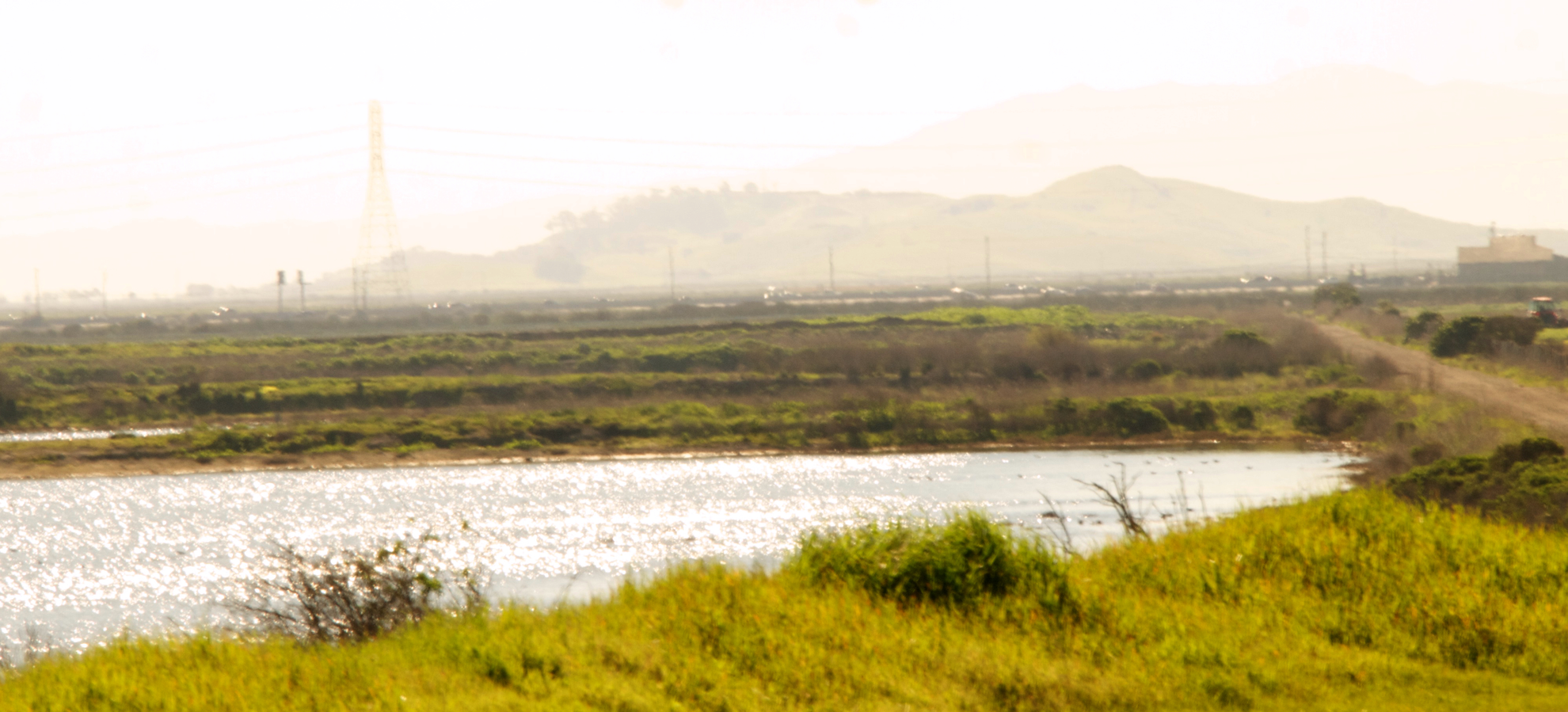 An image depicting the trail San Francisco Bay Trail - Hayward Regional Shoreline and its surrounding area.