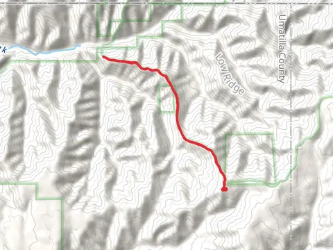 Indian Ridge Trail - Short