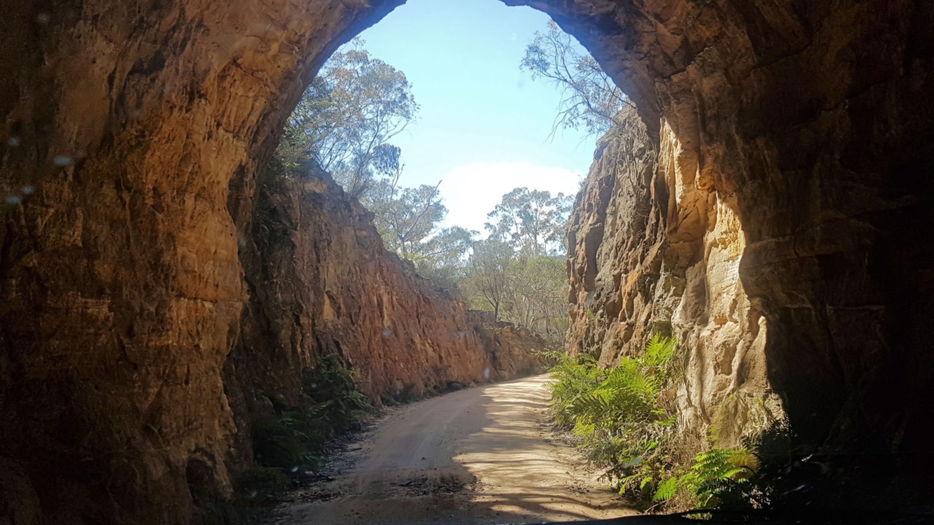 An image depicting the trail Glow Worm Tunnel Loop Trail and its surrounding area.