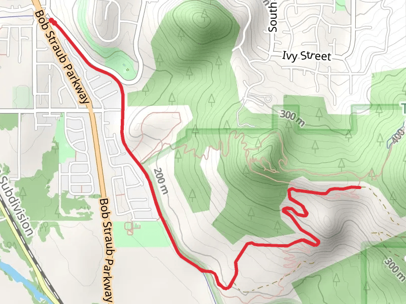 Weyerhaeuser Road Walk