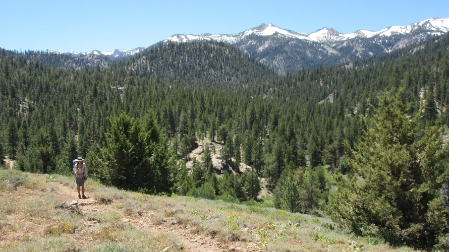 Soda Cone Mountain via Snodgrass Creek Trail