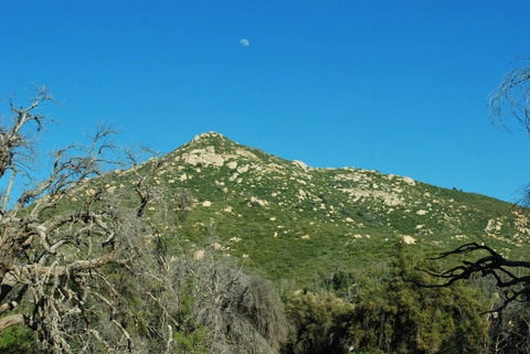 Oakzanita Peak via Lower Descanso Creek Trail and Harvey Mooore Loop Trail