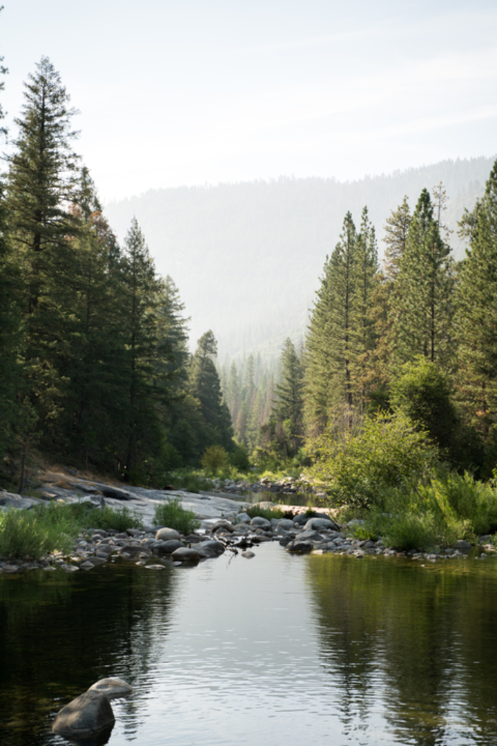 An image depicting the trail Wawona Swinging Bridge Trail and its surrounding area.