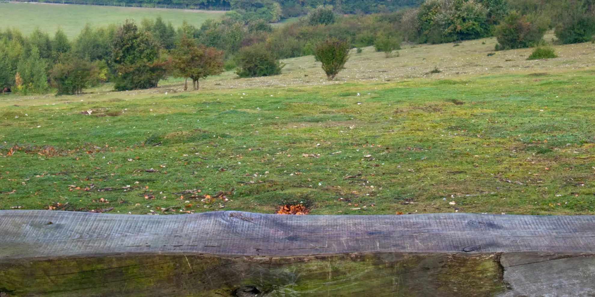 An image depicting the trail The Ridgeway at the End of the Chilterns and its surrounding area.