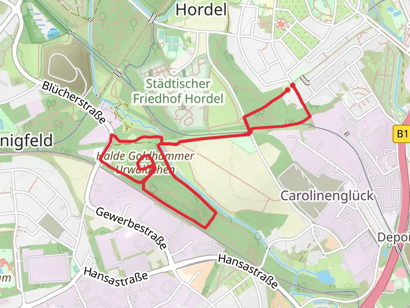 Halde Goldhammer Urwaldchen Loop