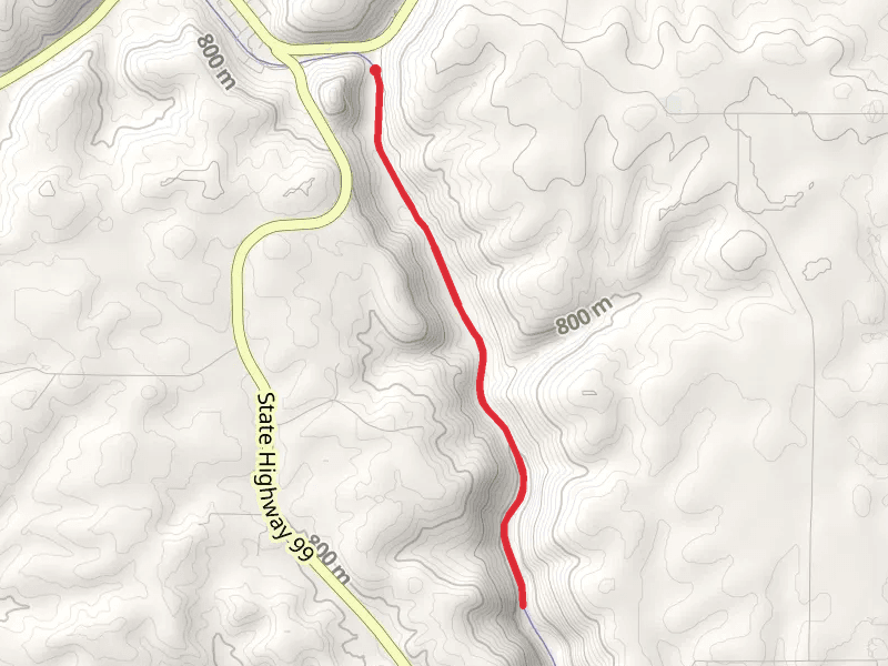 Latah Trail Out and Back