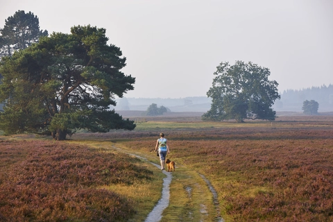 Heerderstrand and Tonnenberg Loop