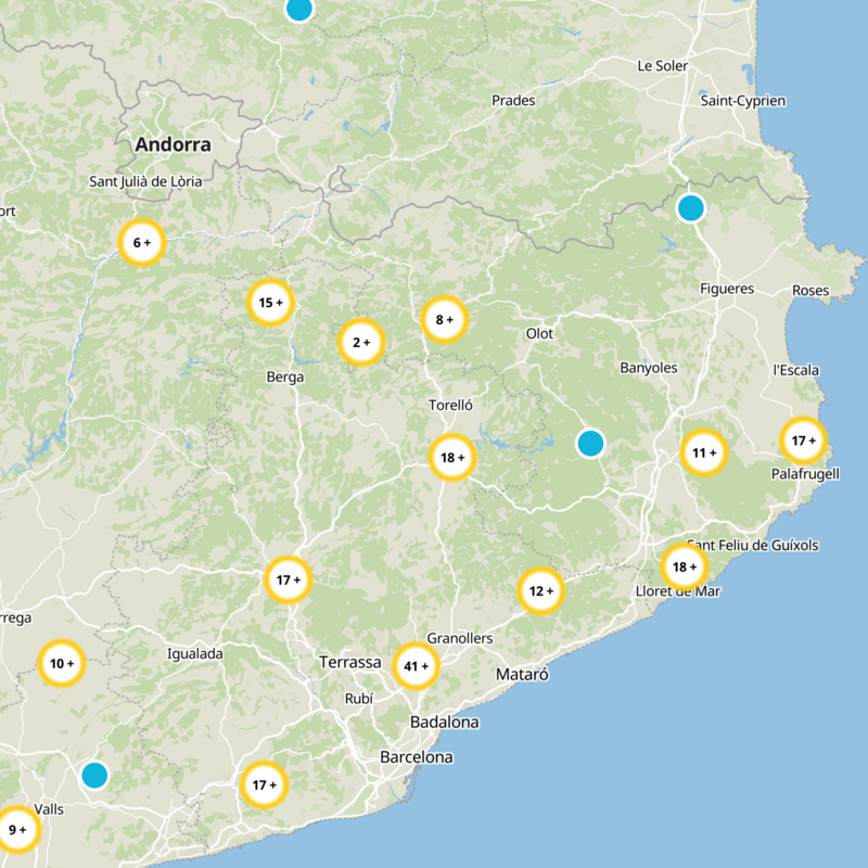 Santa Cecília De Voltregà Static Map