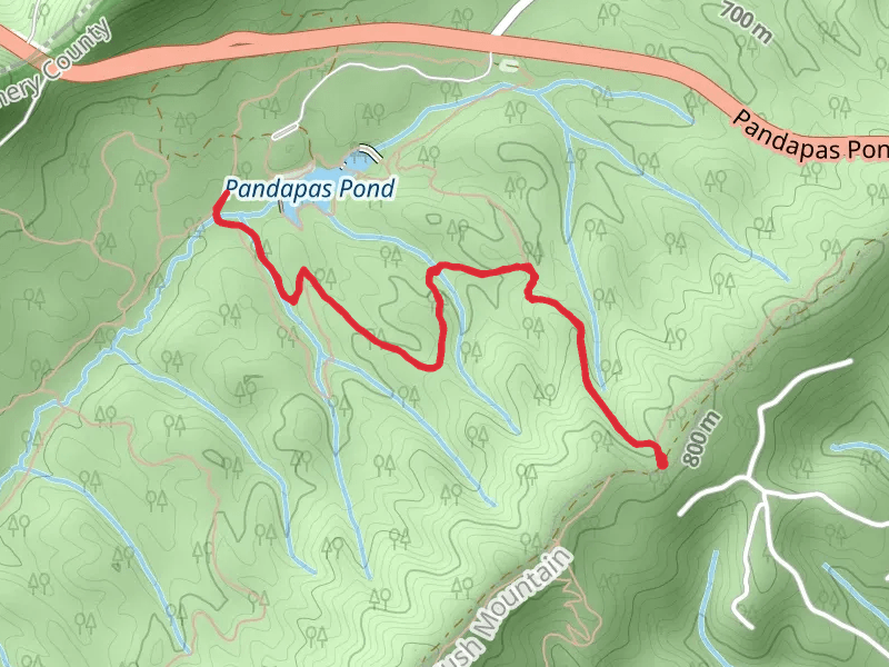 Joe Pye Trail via Horse Nettle Trail