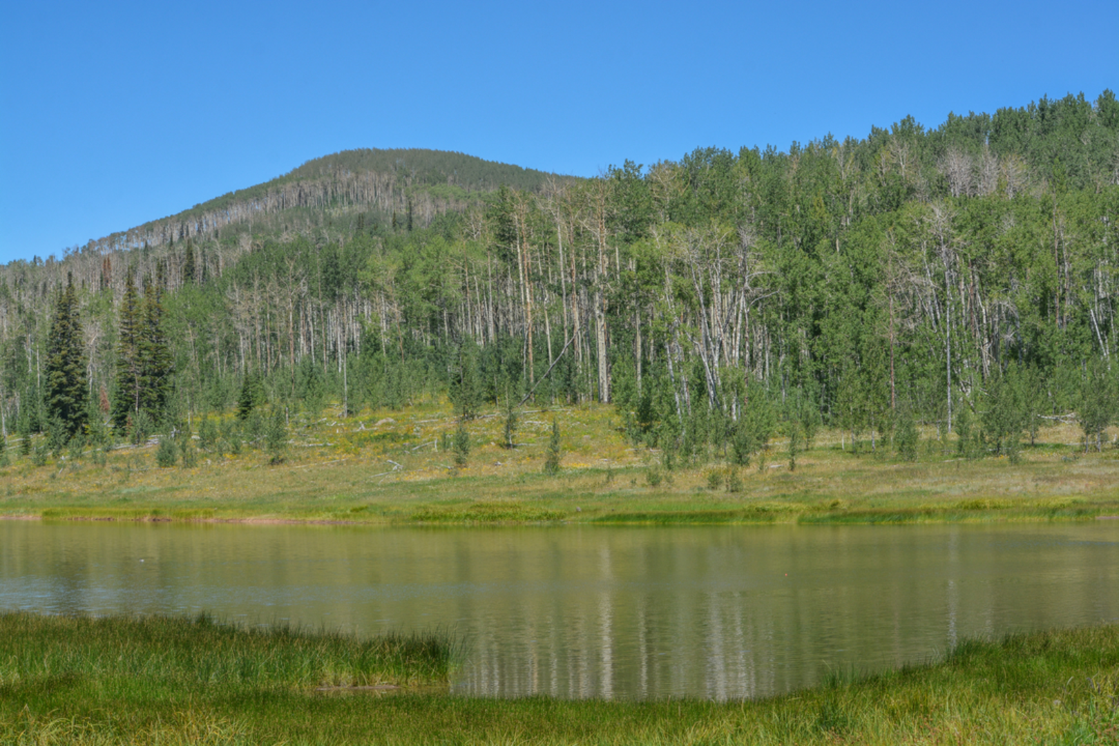An image depicting the trail Black Mountain Trail and its surrounding area.