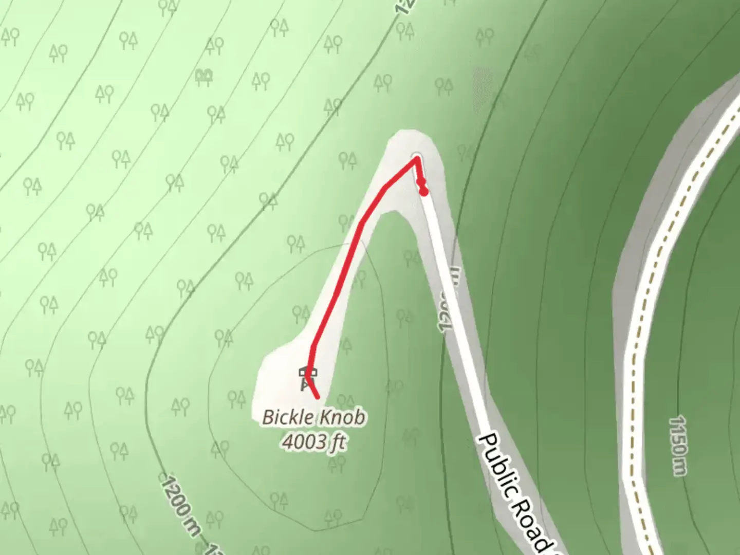 An image depicting the trail Bickle Knob Out and Back and its surrounding area.