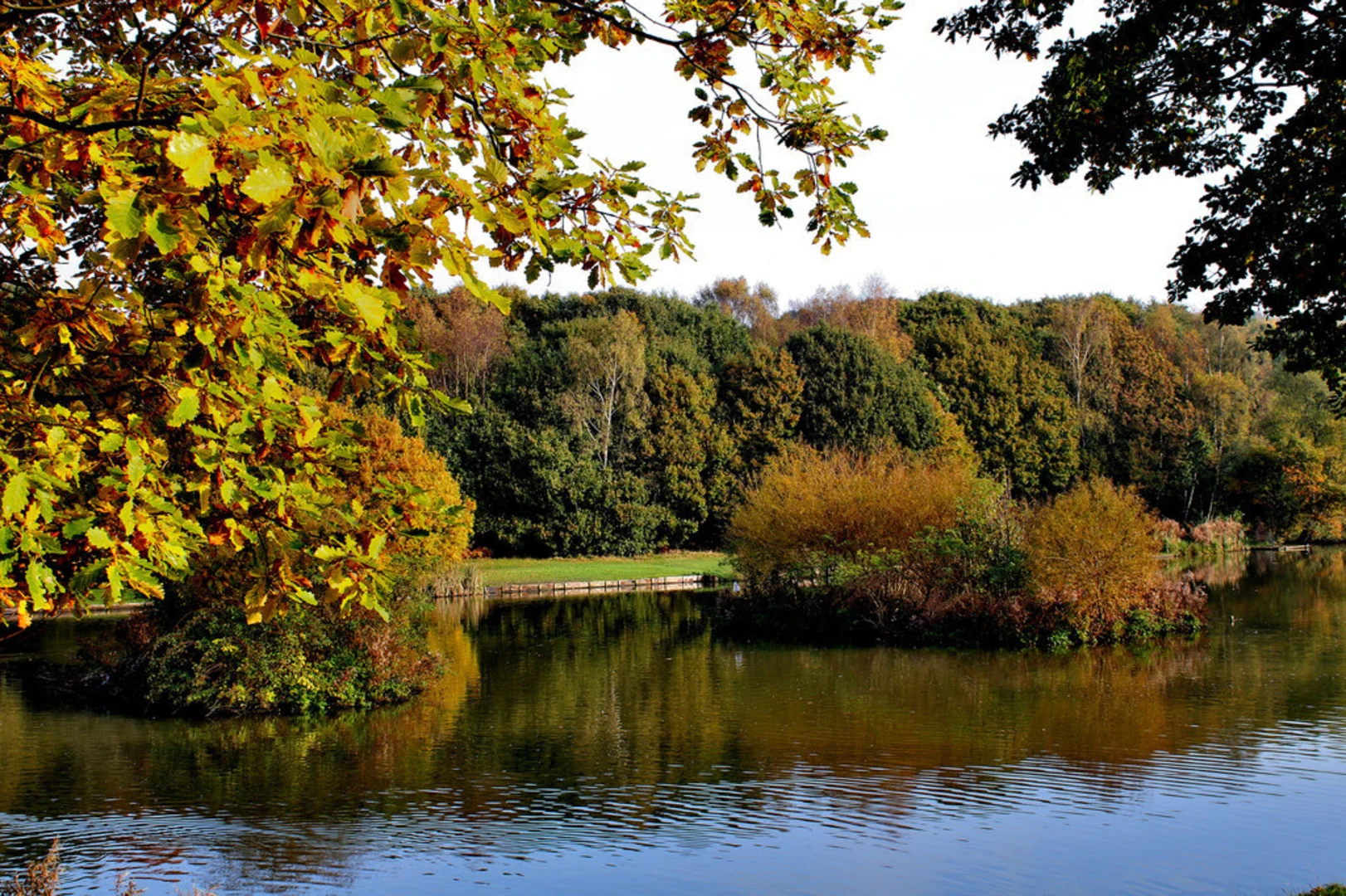 An image depicting the trail Doncaster River Walk and its surrounding area.