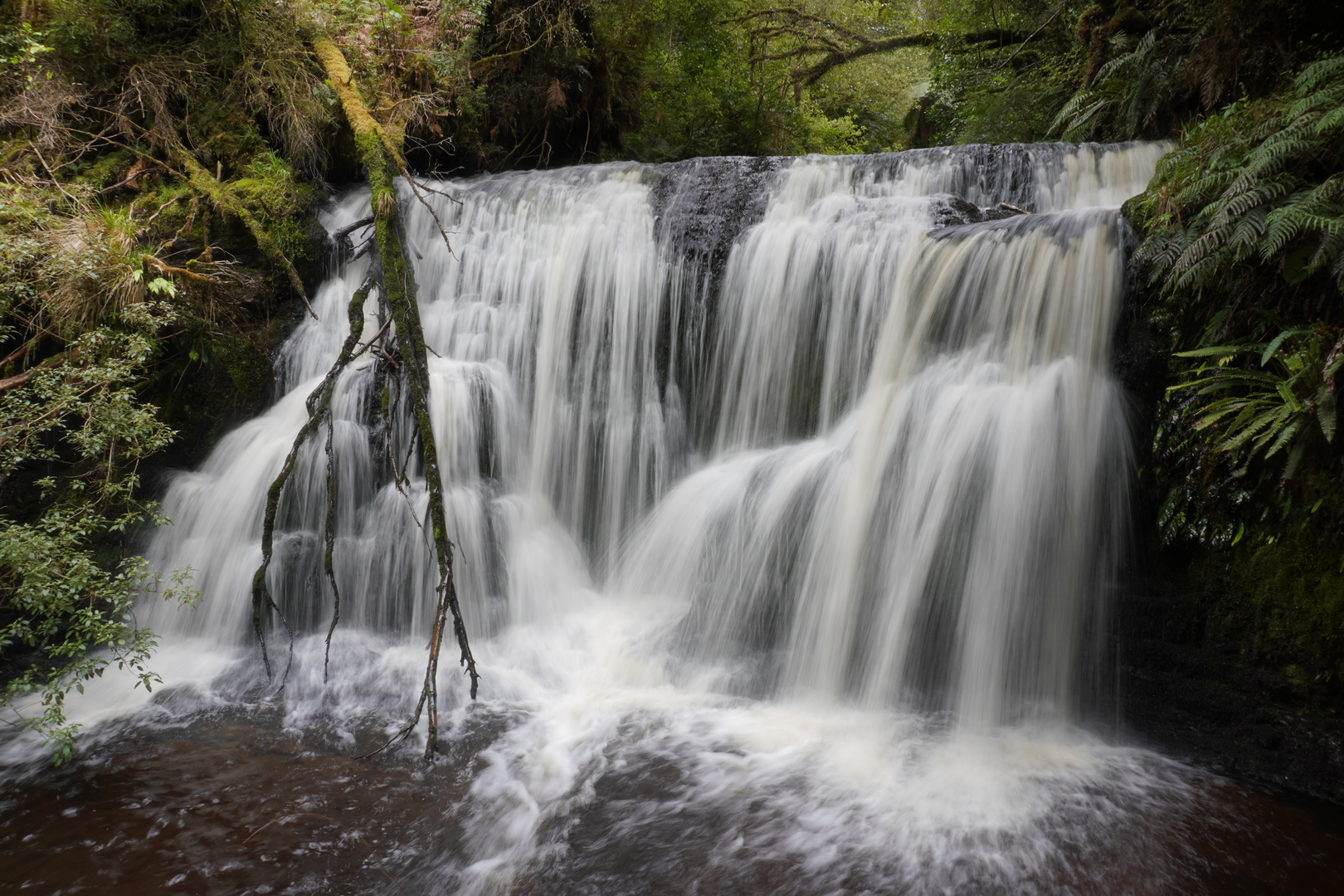 An image depicting the trail Waipohatu Waterfalls Track and its surrounding area.