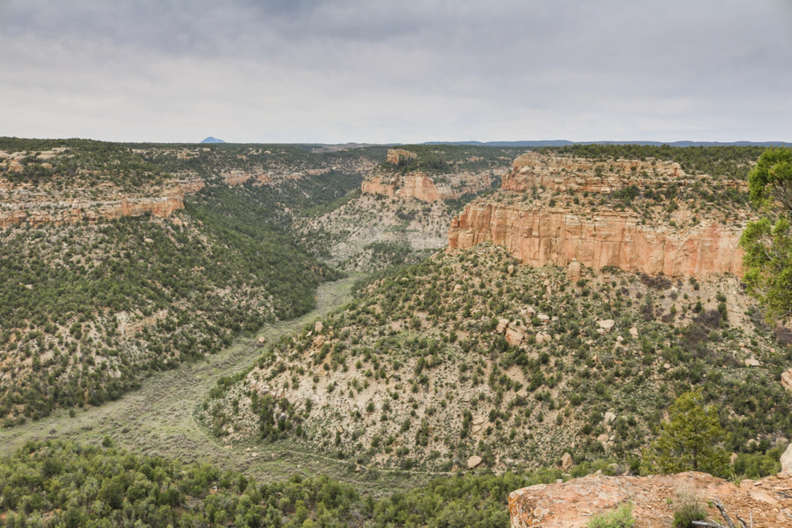 An image depicting the trail Spruce Canyon Trail and its surrounding area.