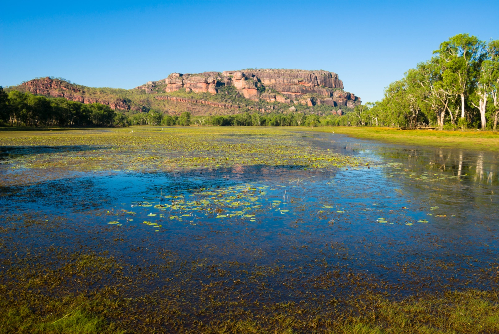 An image depicting the trail Barrk Sandstone Walk and its surrounding area.