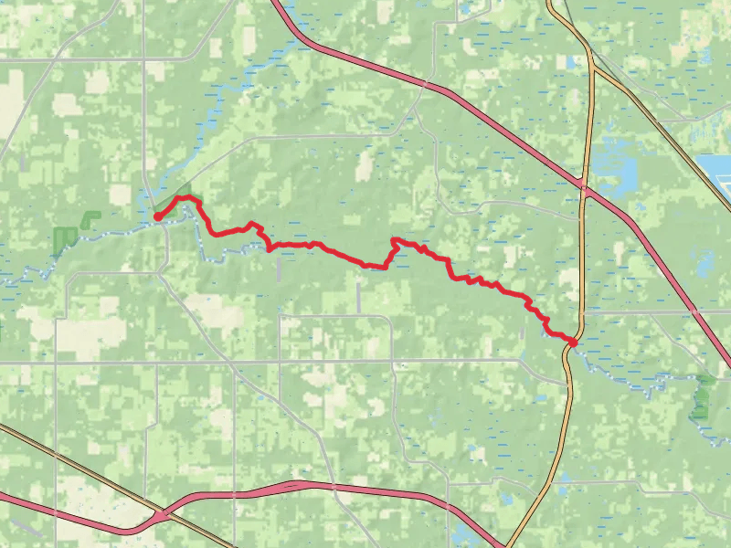 Suwannee River Trail