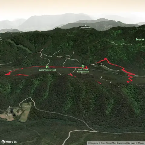 Nash Creek Loop - Wombat