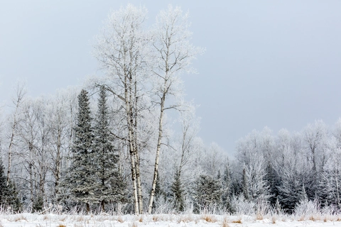 Ice Age National Scenic Trail - Lincoln And Langlade County