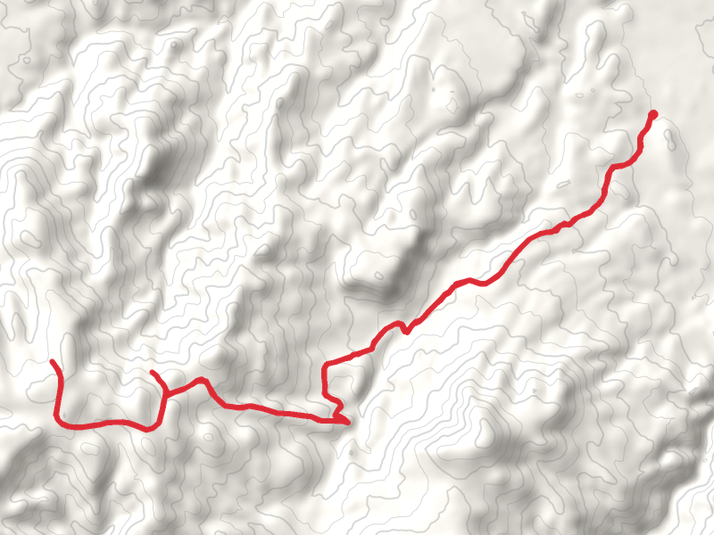 Wilson Creek Road Walk