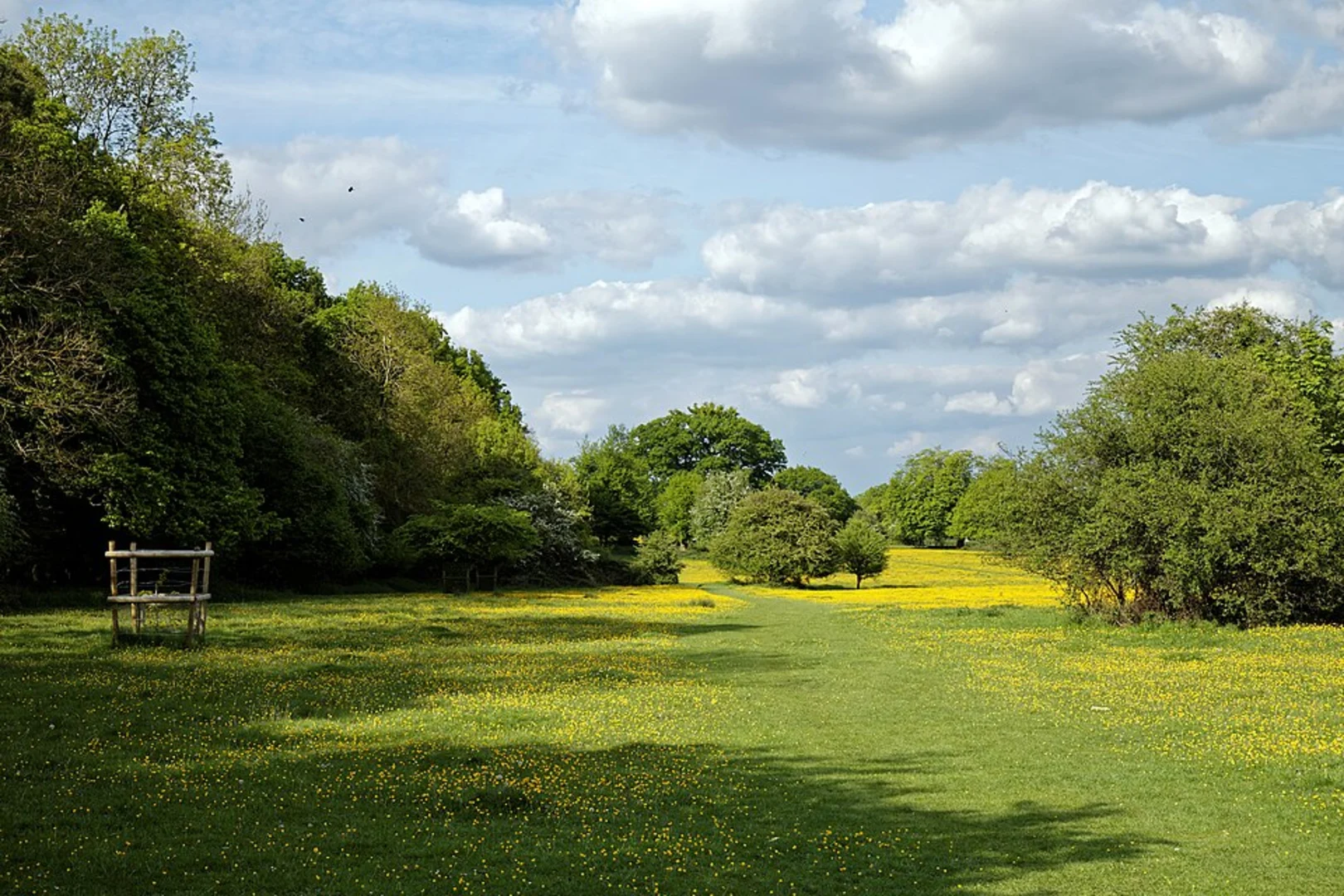 Halfield Forest and Flitch Way Country Park | Essex | England