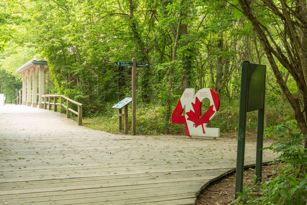An image depicting the trail Point Pelee National Park of Canada and its surrounding area.