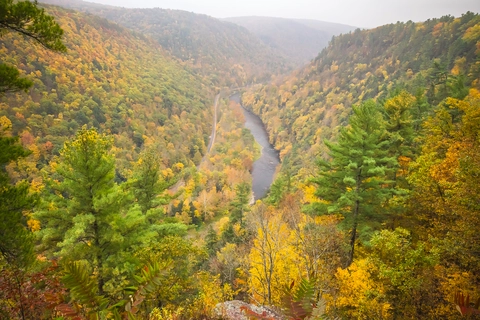 Peters Mountain Ridge Trail from Streamside Campsite