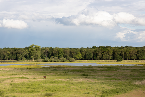Weerterbos via Heuterbroekdijk and Achterstehoutdijk Loop
