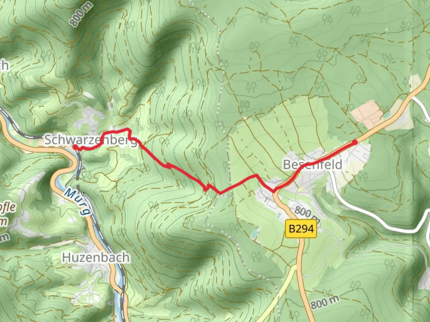 An image depicting the trail Schwarzenberg - Besenfeld Walk and its surrounding area.