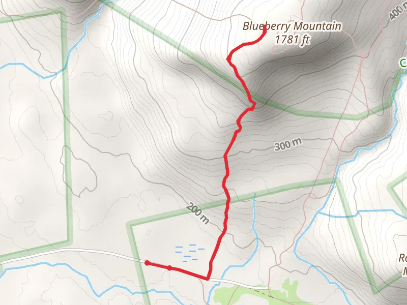 Blueberry Ridge Trail