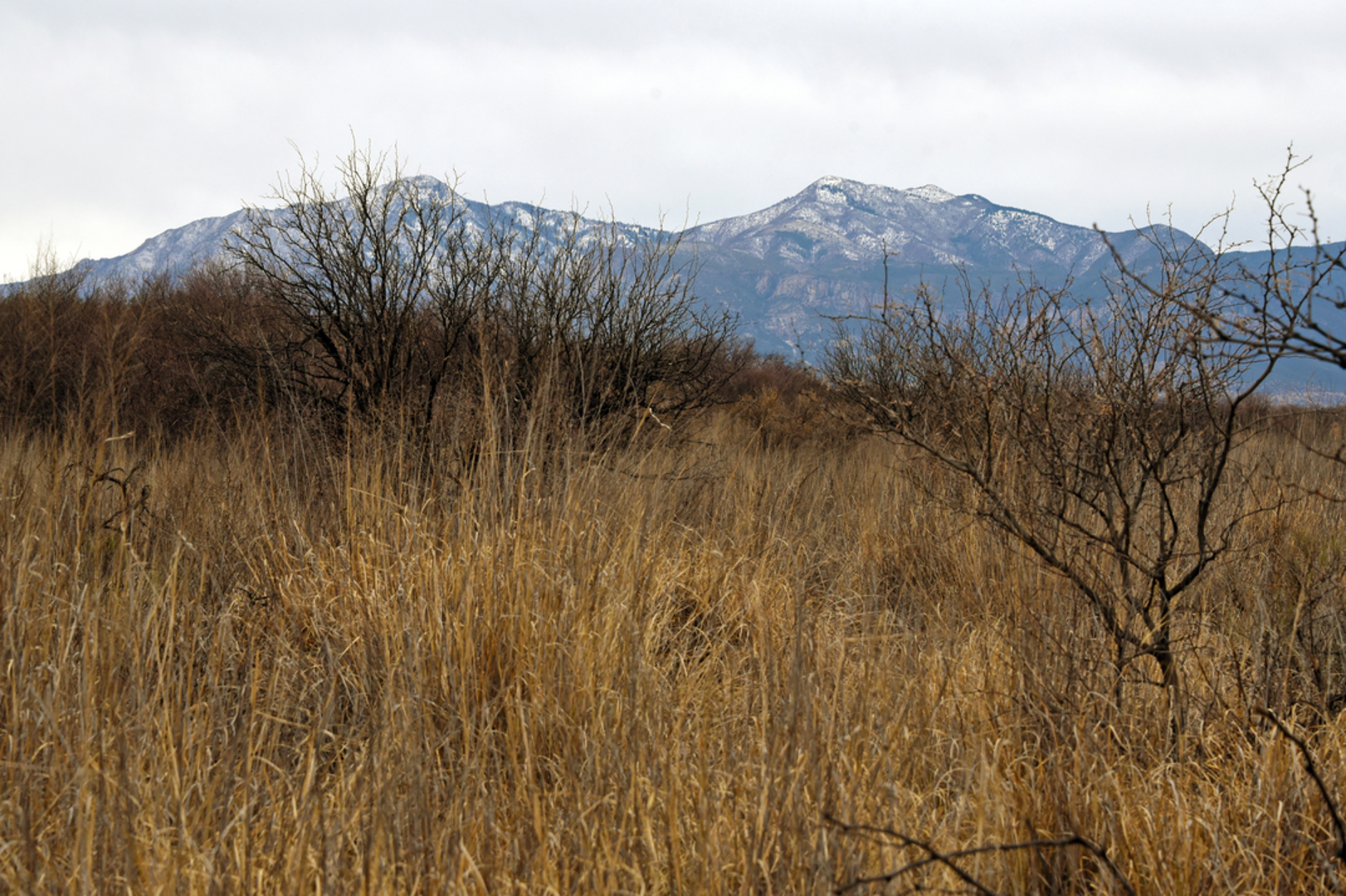 An image depicting the trail Crest Trail and its surrounding area.