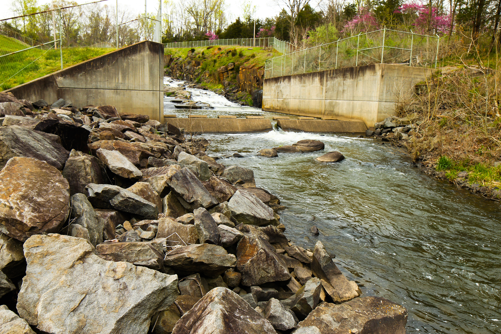 An image depicting the trail Mason - Dixon Trail and its surrounding area.