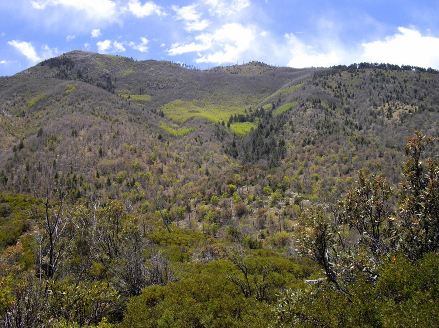 An image depicting the trail Comfort Springs Trail and its surrounding area.