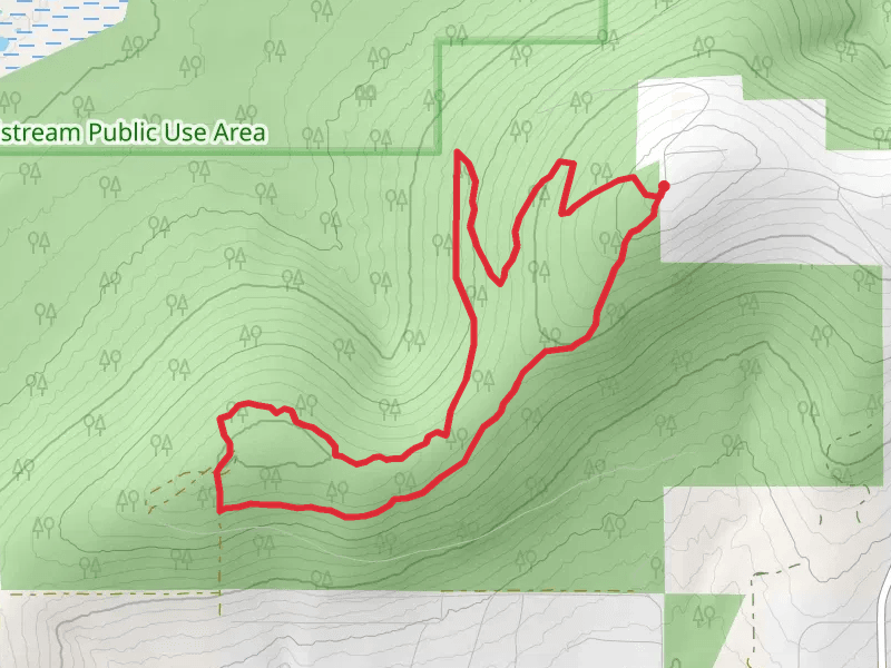 Skyline Ridge Park Loop
