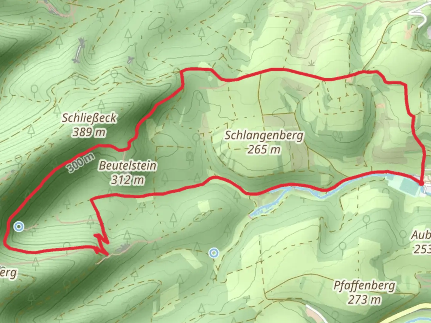 An image depicting the trail Schlangenberg Tour and its surrounding area.
