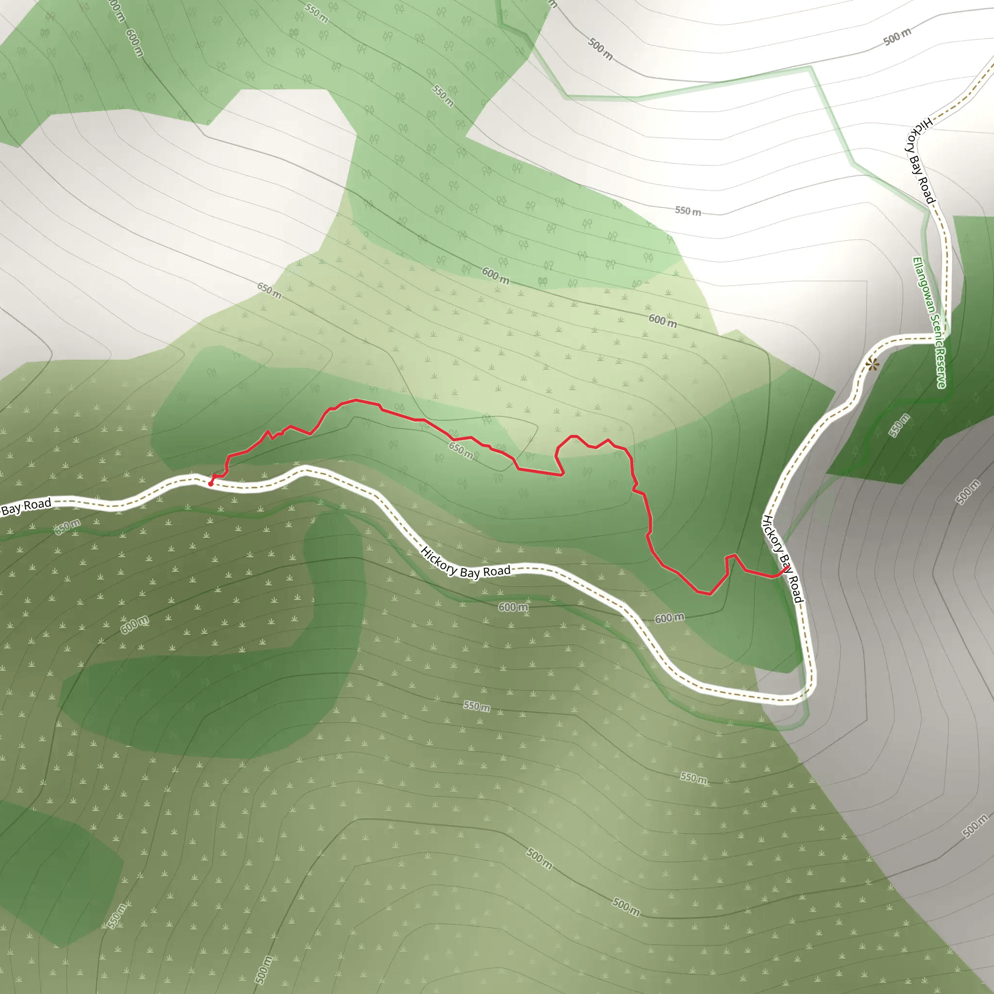 Ellangowan Scenic Reserve Walk mobile static map