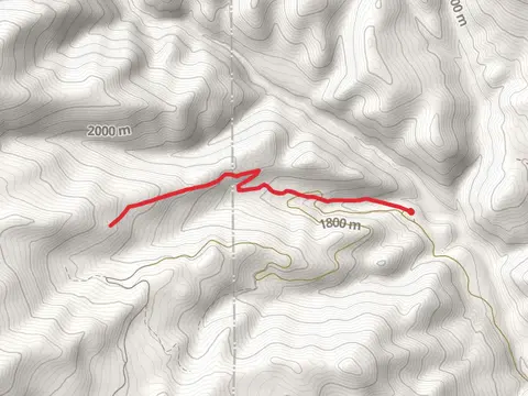 Hall Creek Trail