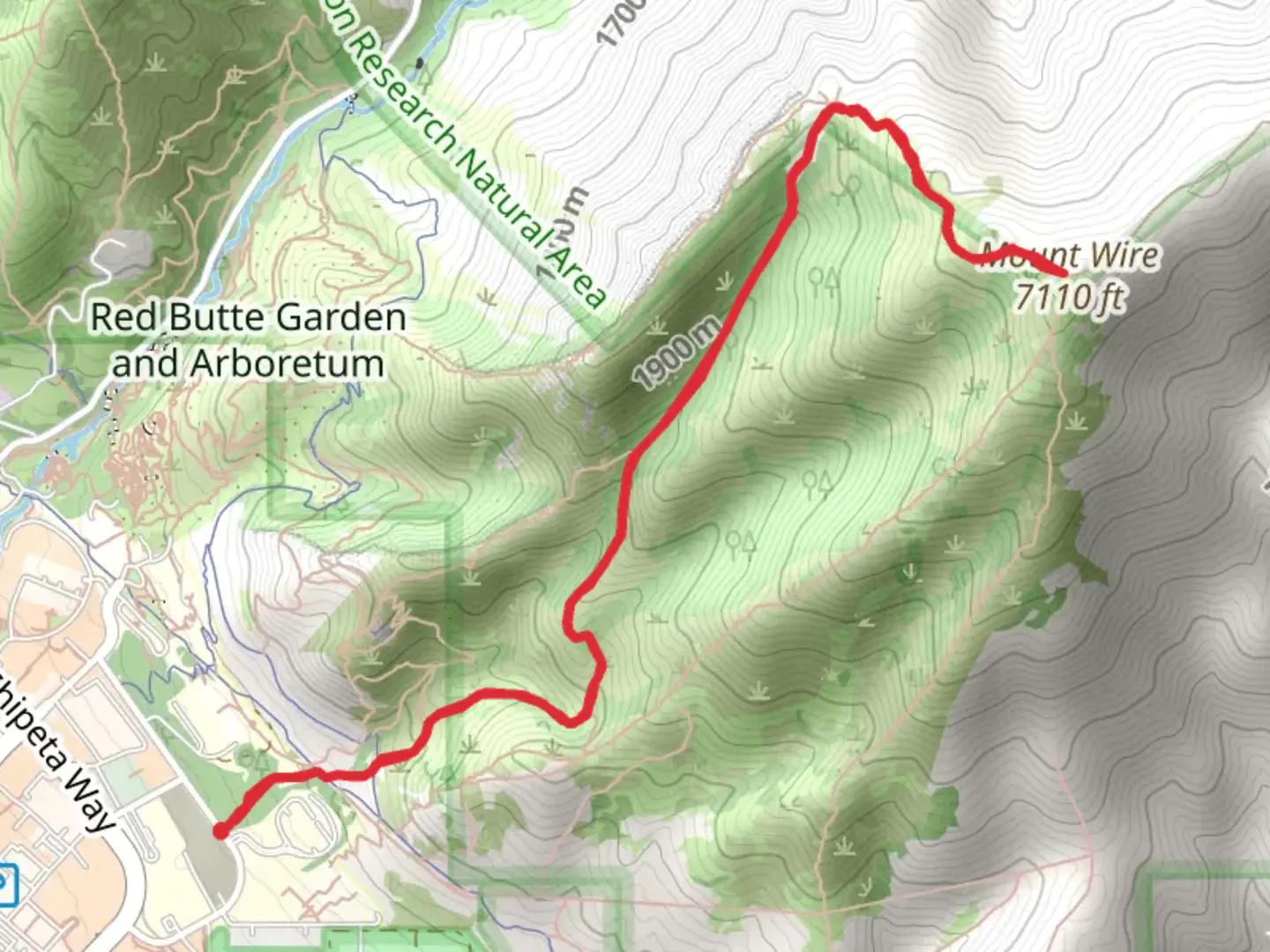 An image depicting the trail Mount Wire via Red Butte Trail and its surrounding area.