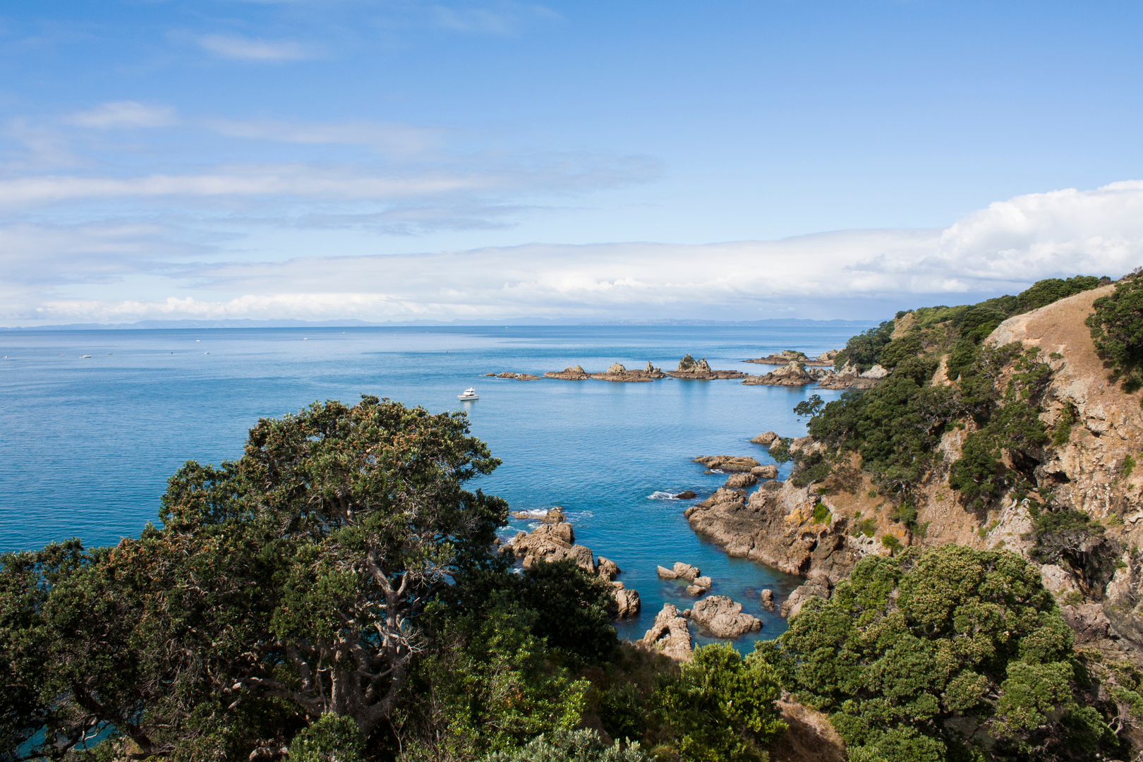 An image depicting the trail Tiritiri Matangi Island Loop and its surrounding area.