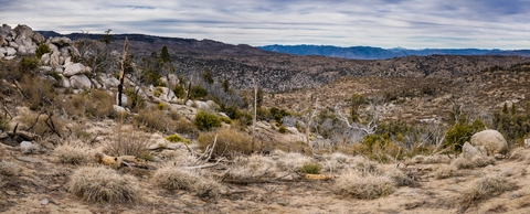 Piute Mountain Road Trail