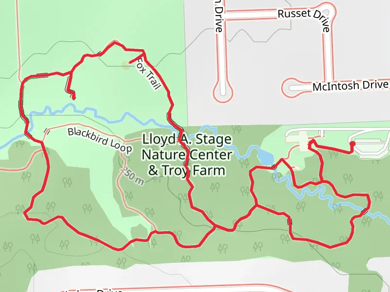 Blackbird and Sugar Maple Loop
